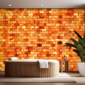 Salt Bricks and Salt Tiles for Salt Therapy Room